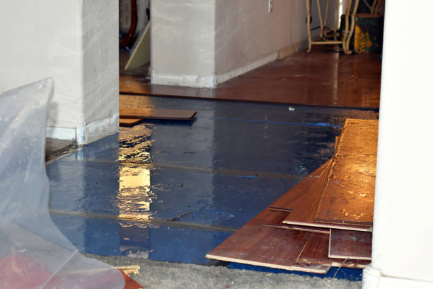 Professional Burst Pipe Cleanup technician working in Sanders, KY